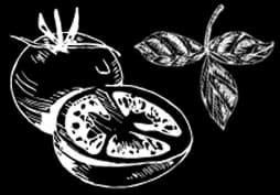 ornament-left