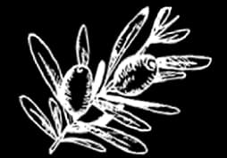 ornament-left