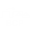 bcp program
